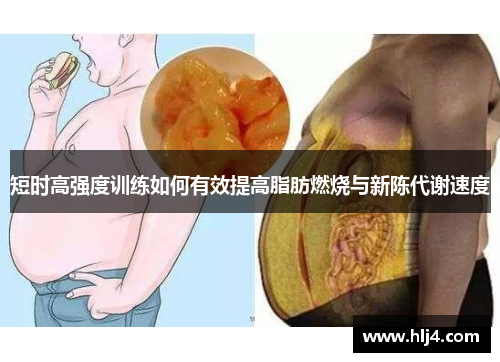 短时高强度训练如何有效提高脂肪燃烧与新陈代谢速度