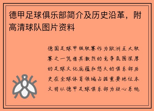德甲足球俱乐部简介及历史沿革，附高清球队图片资料